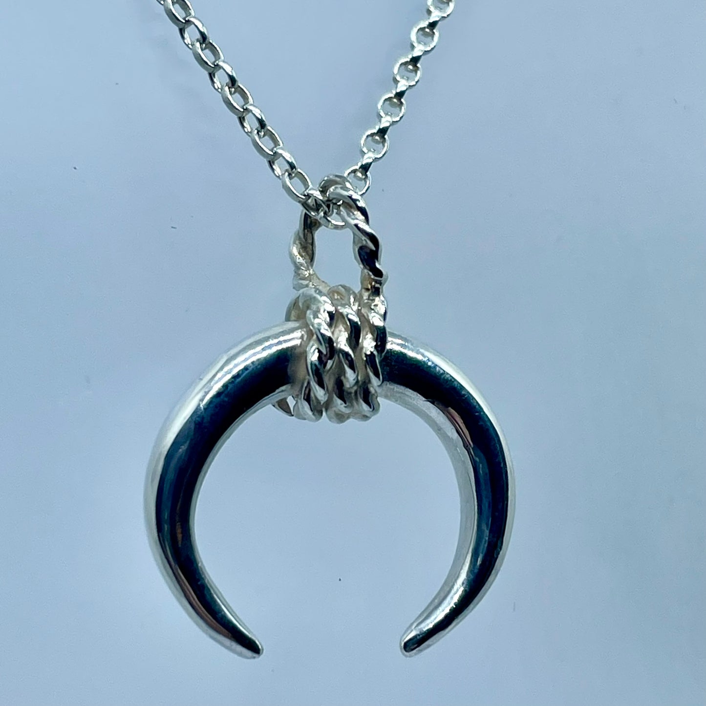 The Bulls Horns image 3