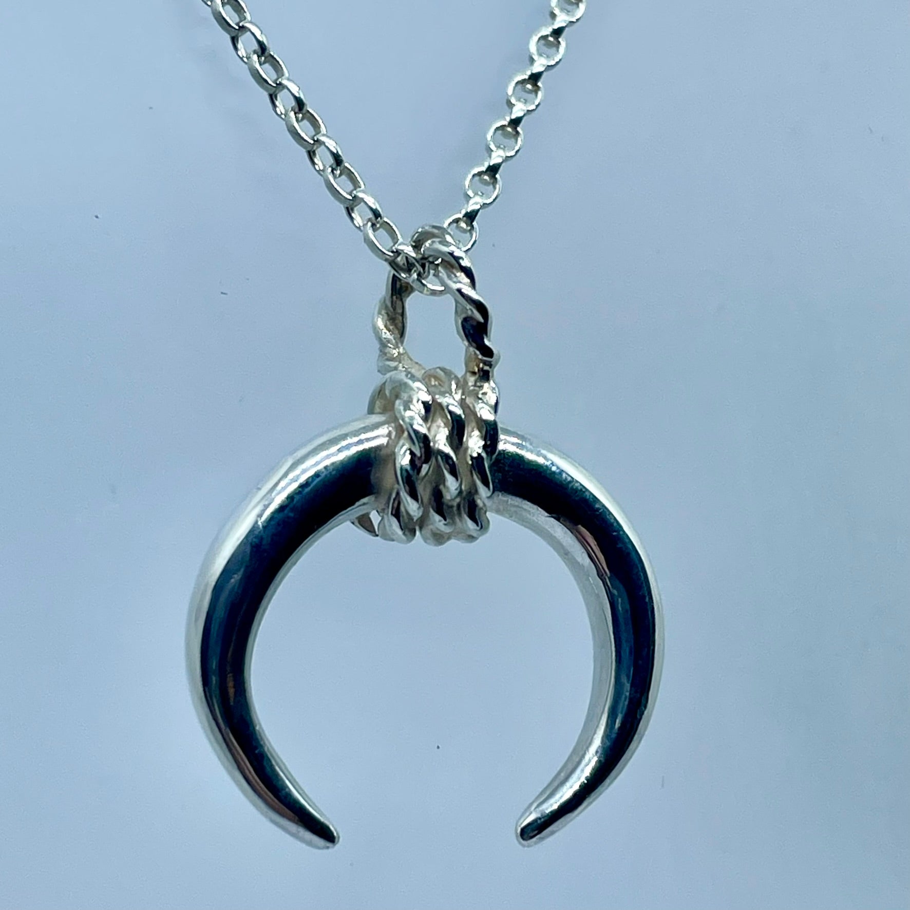 The Bulls Horns image 3