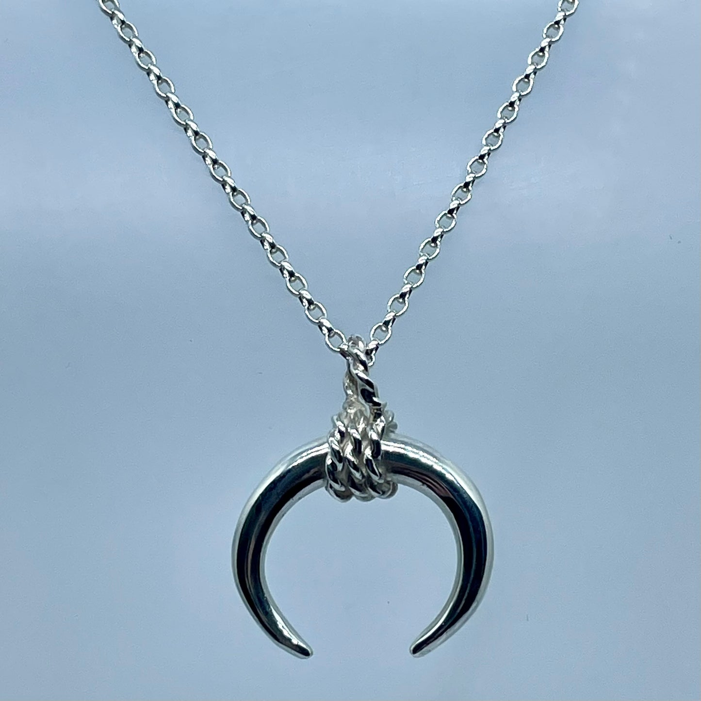 The Bulls Horns image 2