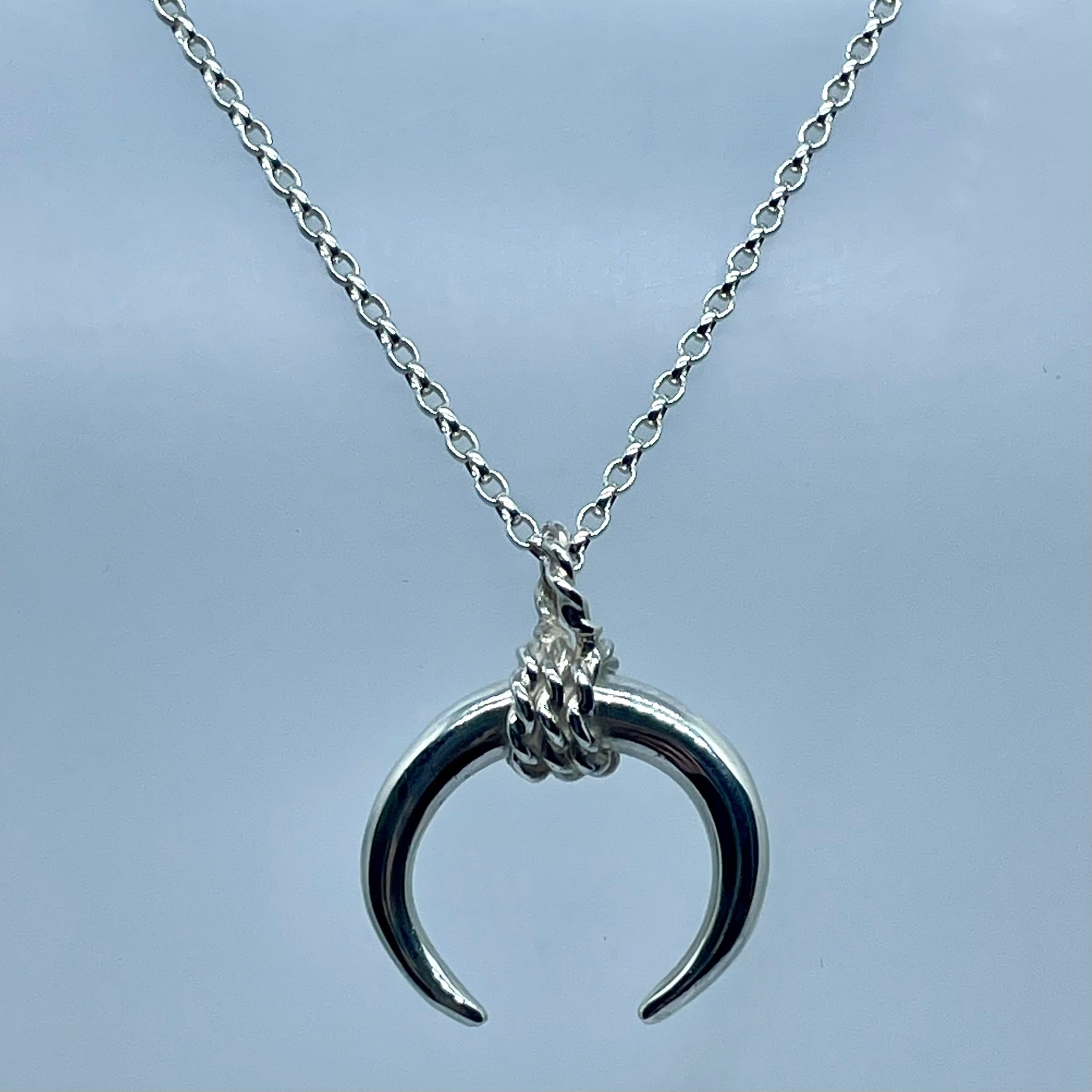 The Bulls Horns image 2