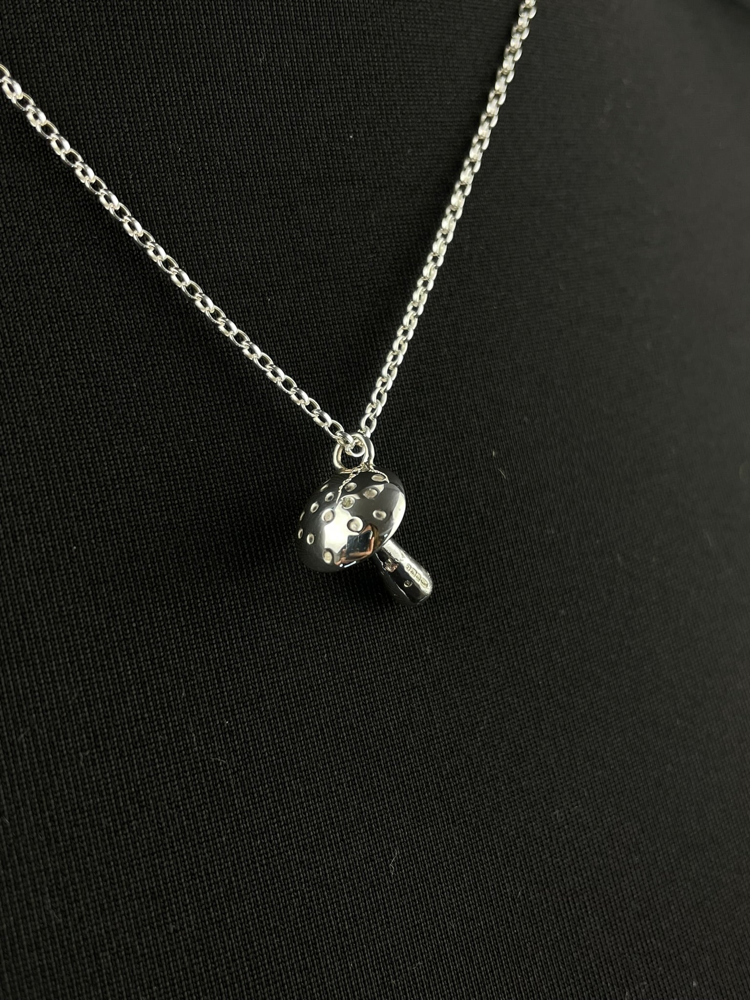 The Mushroom image 4