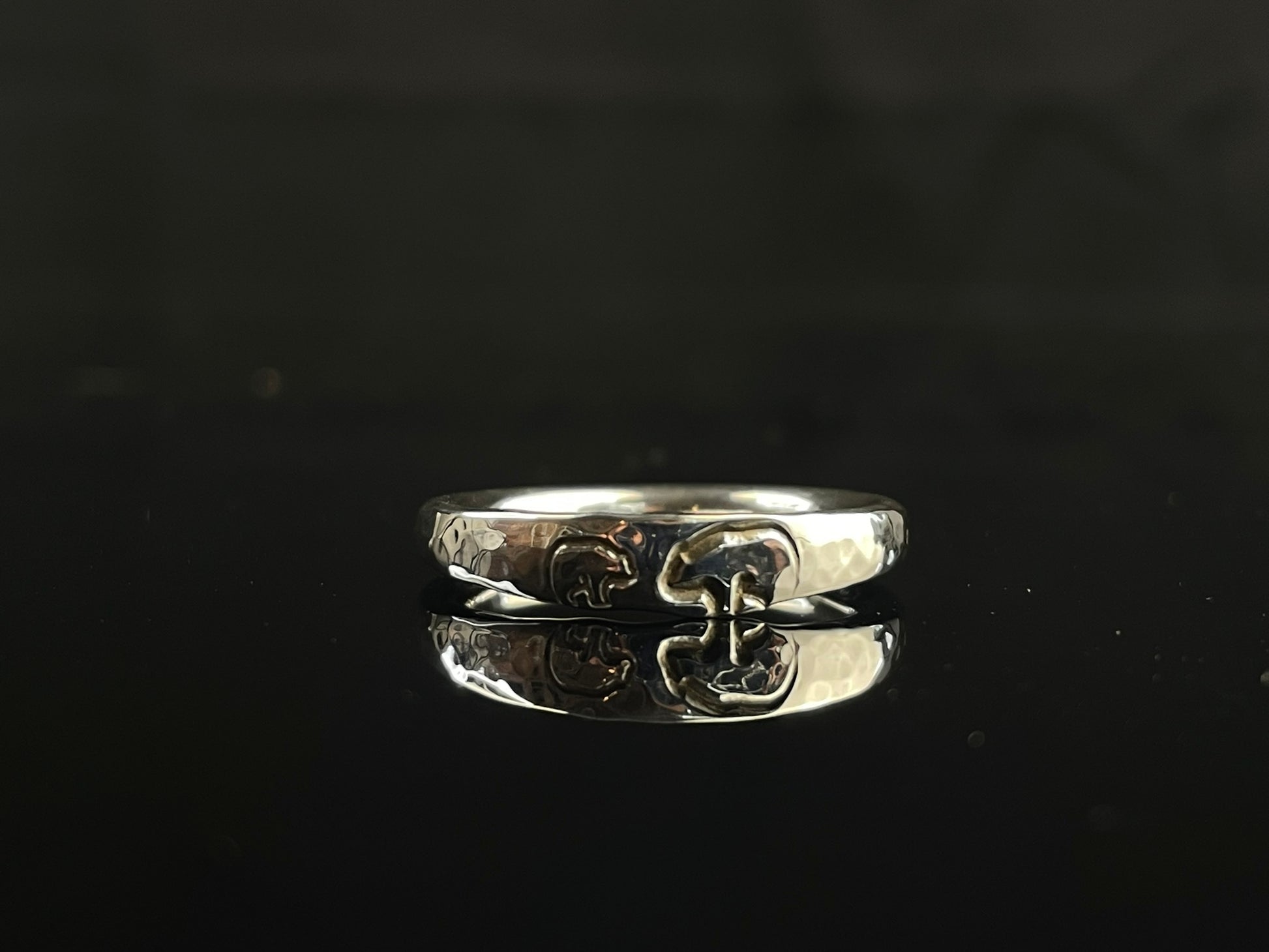 Glacier Ring image 1