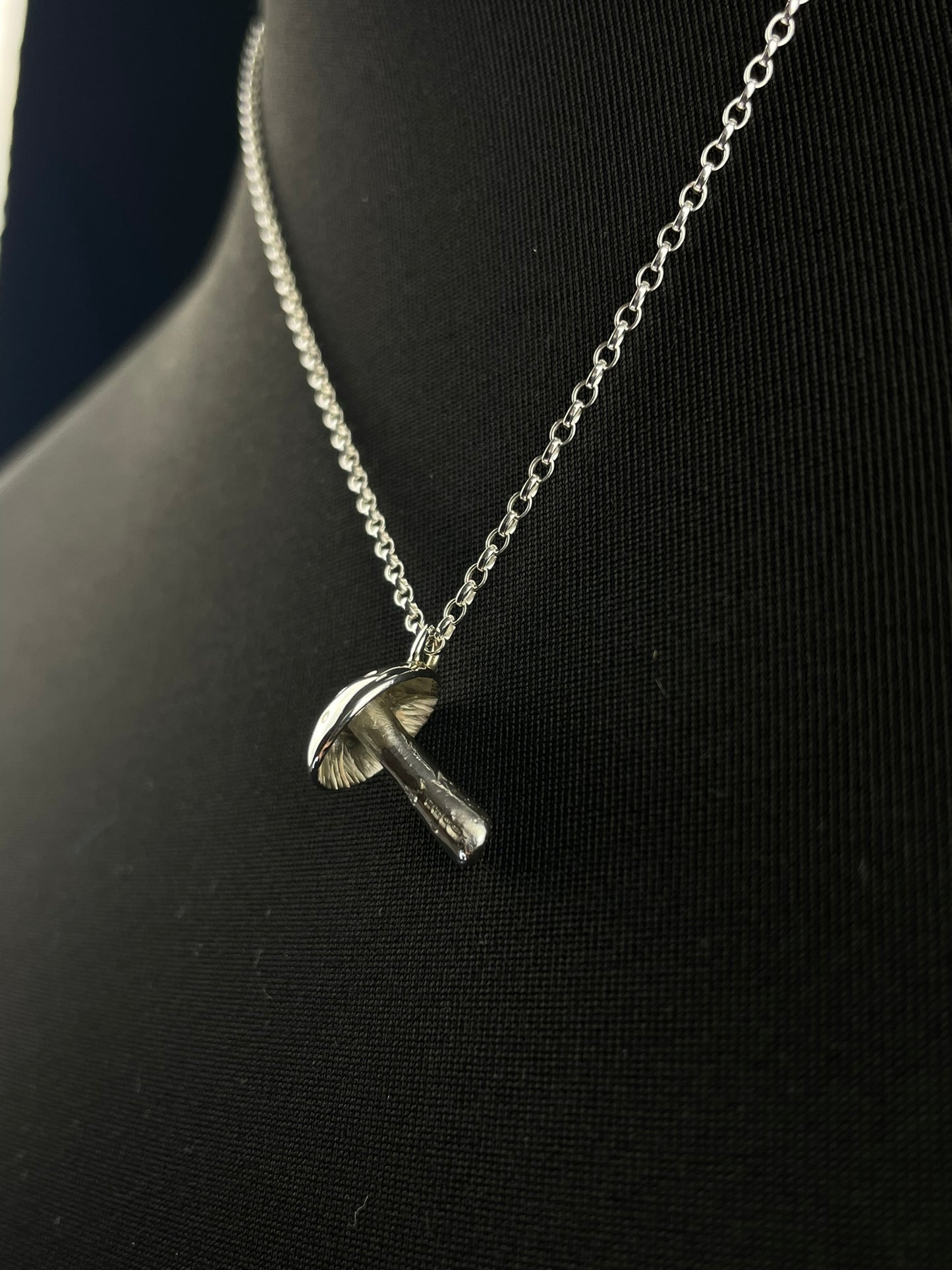 The Mushroom image 3