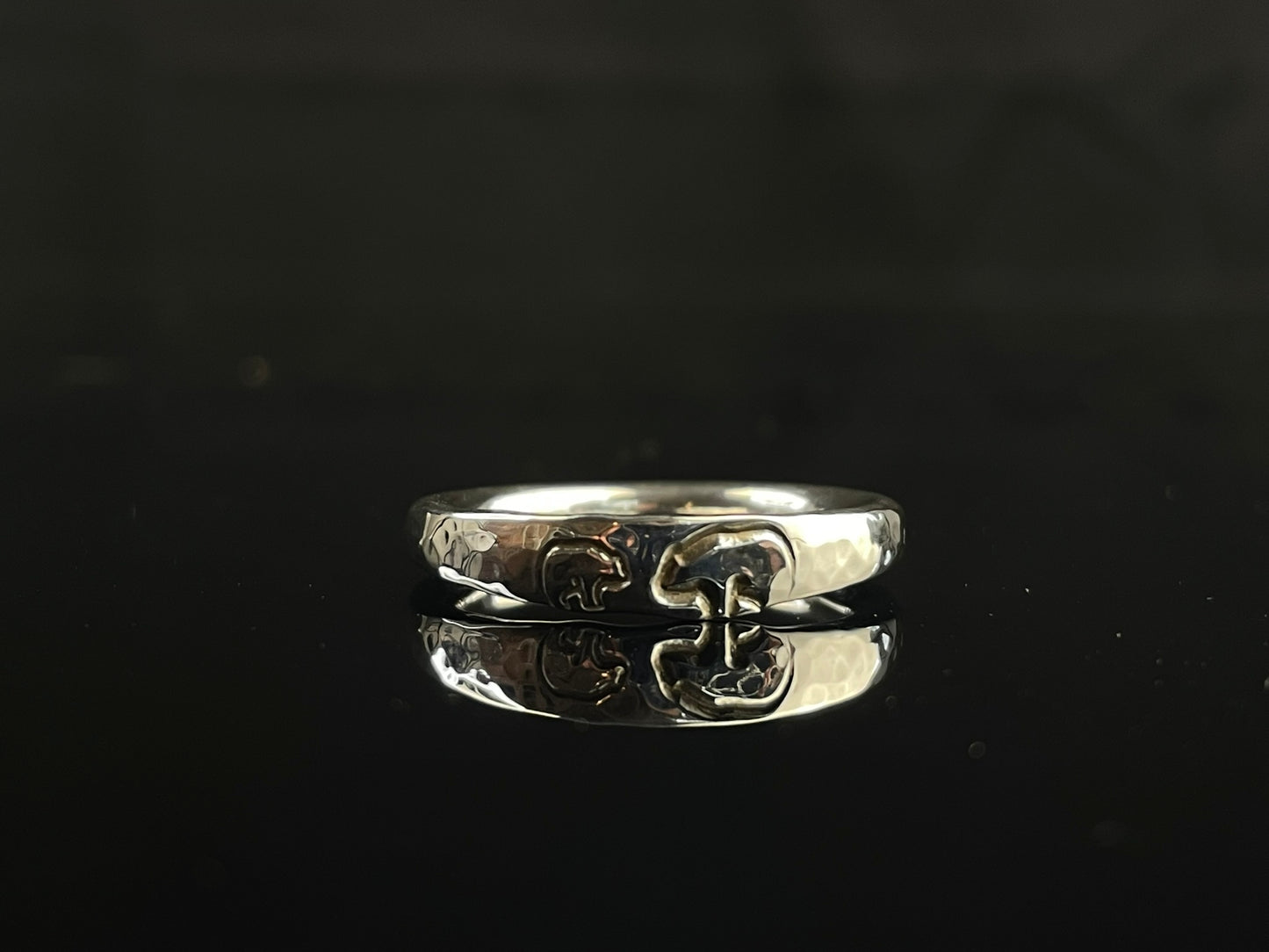 Glacier Ring image 0