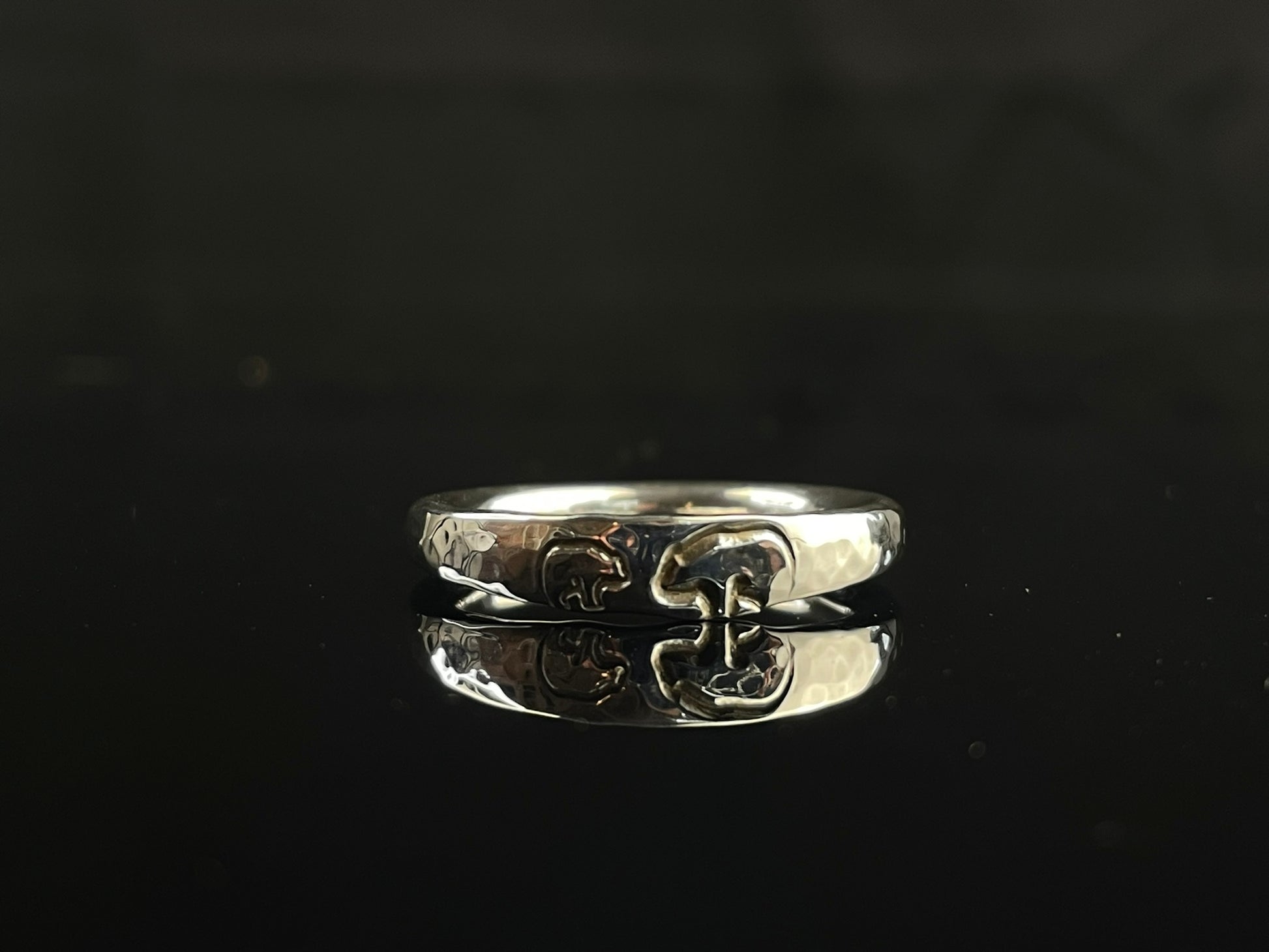 Glacier Ring image 0