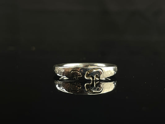 Glacier Ring image 0