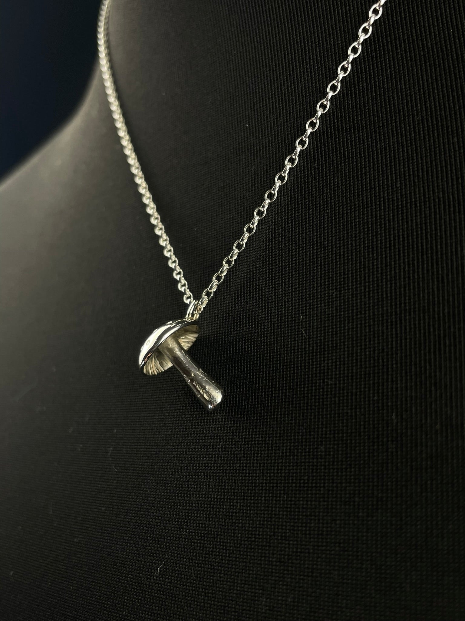 The Mushroom image 1